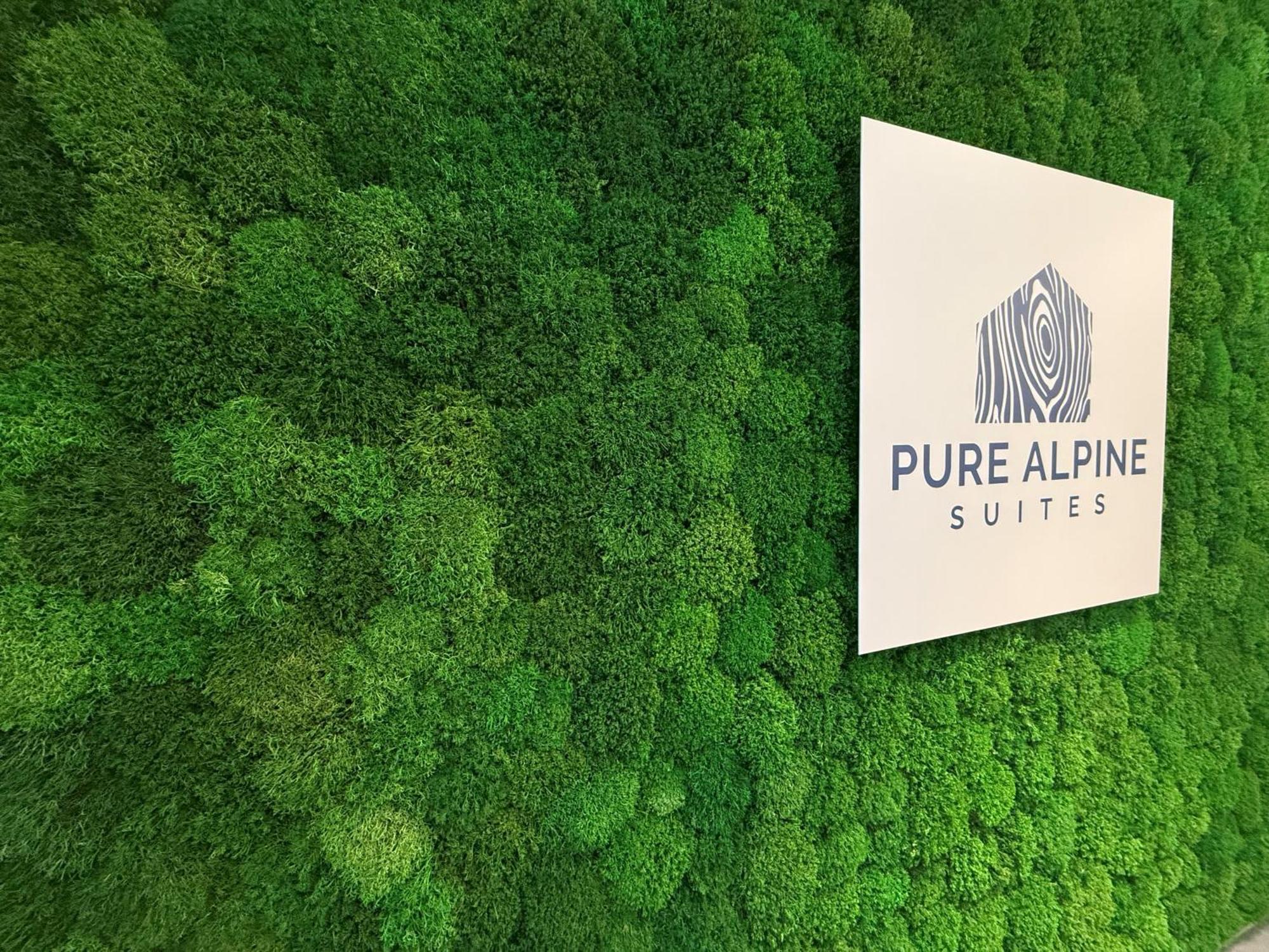 Pure Alpine Suites Schladming Zewnętrze zdjęcie